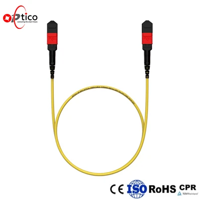 16F AR Coated MPO MTP kabel kufru